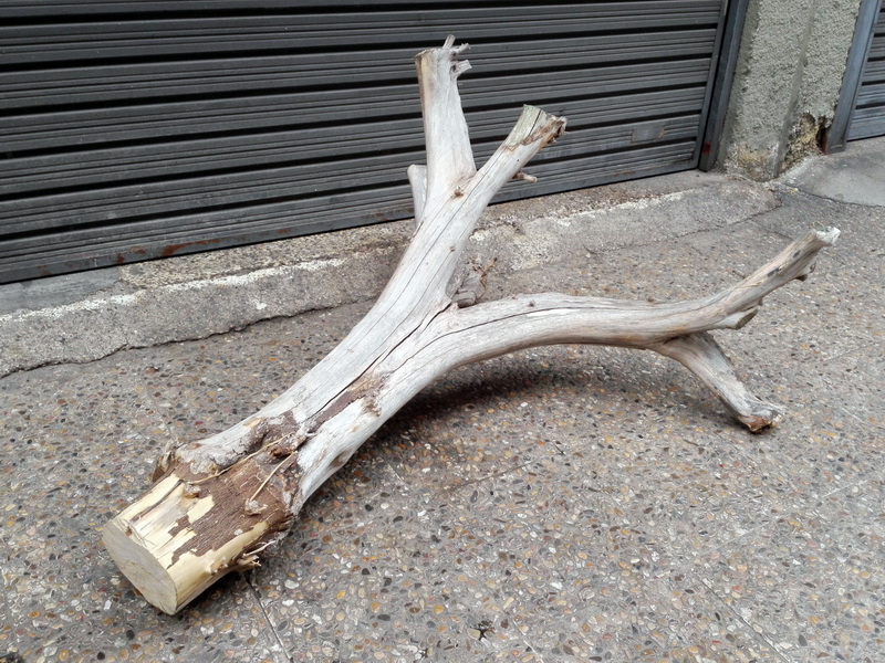 tronco deriva playa madera 81x176x130 1u